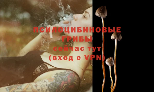 героин Алзамай