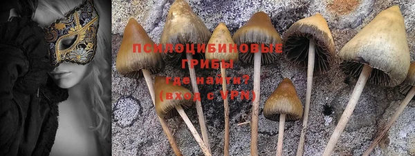 героин Алзамай